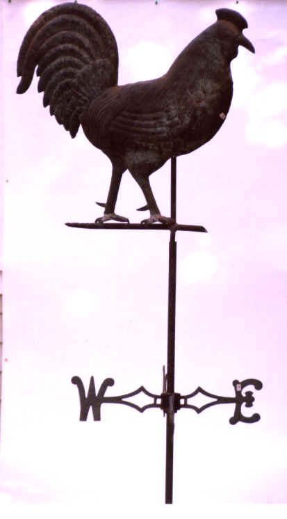 Oct.9-99.rooster.28.bmp (926118 bytes)